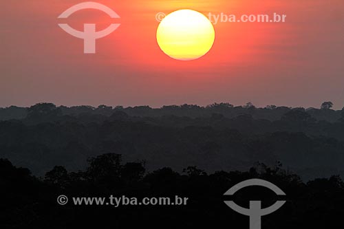  Sunset in the amazon rainforest  - Sao Sebastiao do Uatuma city - Amazonas state (AM) - Brazil