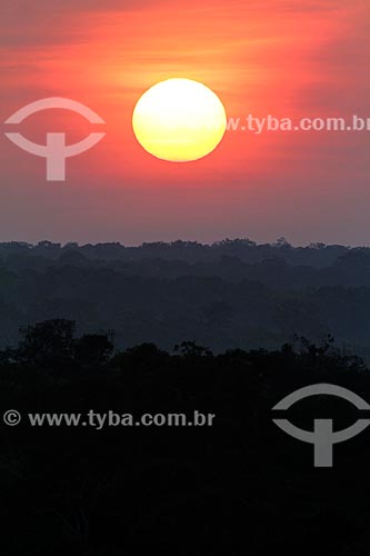  Sunset in the amazon rainforest  - Sao Sebastiao do Uatuma city - Amazonas state (AM) - Brazil