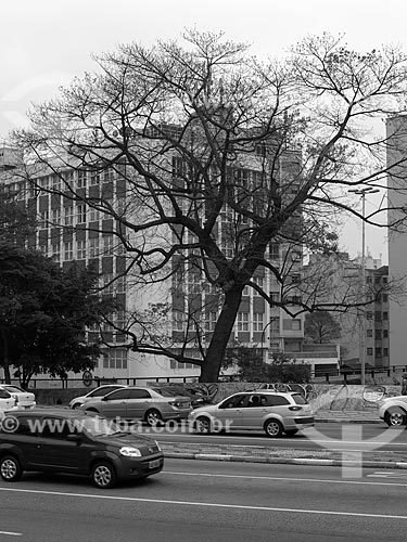  Traffic - Consolaçao Street  - Sao Paulo city - Sao Paulo state (SP) - Brazil