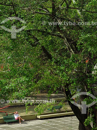  Man reading a book - Luis de Camoes Square  - Rio de Janeiro city - Rio de Janeiro state (RJ) - Brazil