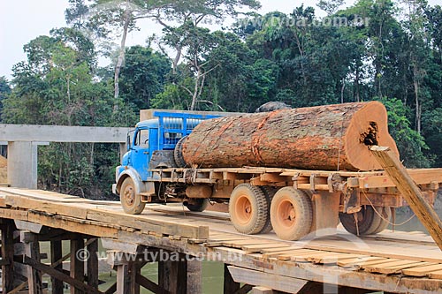  Illegal timber transport - trunk of Dinizia excelsa Ducke tree  - Machadinho do Oeste city - Rondonia state (RO) - Brazil