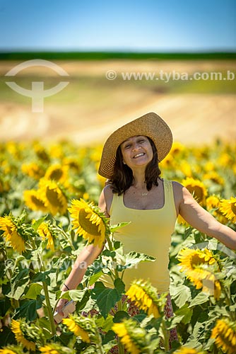  Woman amid the sunflower (Helianthus annuus) plantation  - Beja municipality - Beja district - Portugal