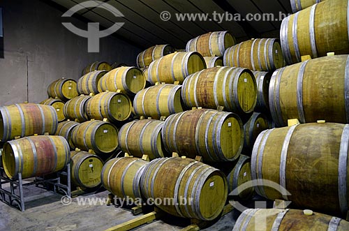  Oak barrel - Anura Winery  - Cape Winelands district - Western Cape province - South Africa