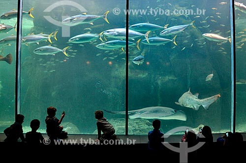  Children - Two Oceans Aquarium  - Cape Town city - Western Cape province - South Africa