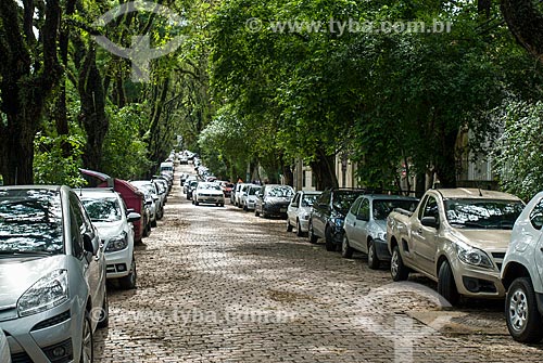  General view of the Goncalo de Carvalho Street - street with a corridor of pride of Bolivia tree, considered environmental heritage of the city of Porto Alegre  - Porto Alegre city - Rio Grande do Sul state (RS) - Brazil