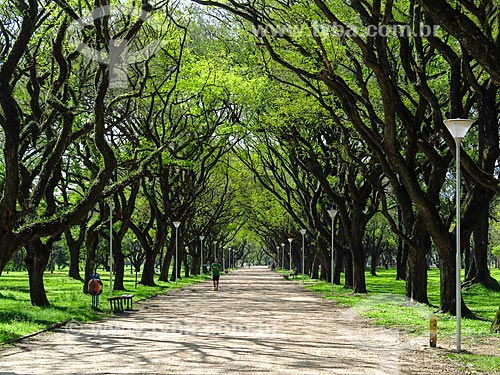  Trail - Marinha do Brasil Park  - Porto Alegre city - Rio Grande do Sul state (RS) - Brazil