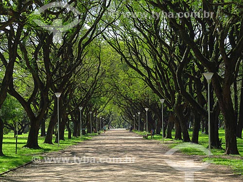  Trail - Marinha do Brasil Park  - Porto Alegre city - Rio Grande do Sul state (RS) - Brazil