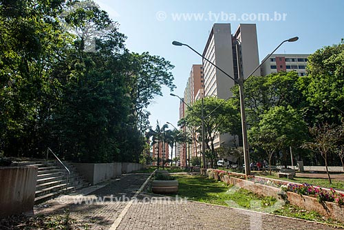  View of the Marechal Candido Rondon Park with buildings of Piaui Street and Rio de Janeiro Avenue  - Londrina city - Parana state (PR) - Brazil