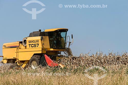  Corn mechanized harvesting  - Cornelio Procopio city - Parana state (PR) - Brazil