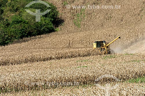  Corn mechanized harvesting  - Cornelio Procopio city - Parana state (PR) - Brazil