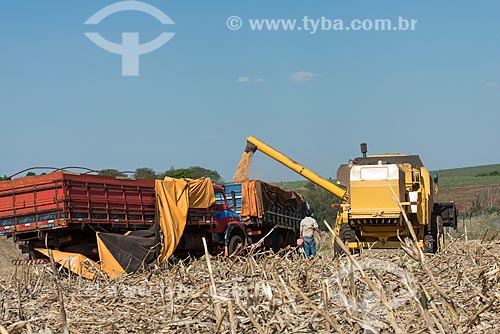  Unloading of corn during the harvest  - Cornelio Procopio city - Parana state (PR) - Brazil