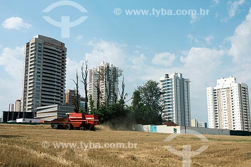  Wheat mechanized harvesting - urban area  - Londrina city - Parana state (PR) - Brazil