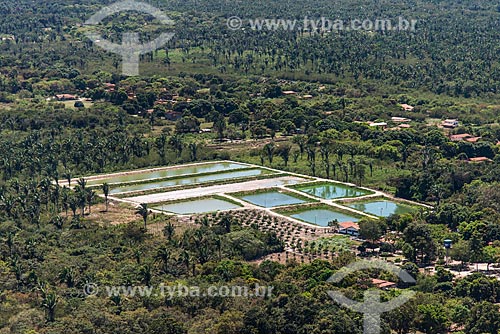  Aerial photo of pisciculture tanks - Teresina city rural zone  - Teresina city - Piaui state (PI) - Brazil