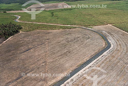  Aerial photo of the sugarcane plantation near to Mata dos Cocais area - irrigation using the Parnaiba River  - Teresina city - Piaui state (PI) - Brazil