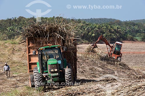  Agricultural machines during the harvest of sugarcane with the Mata dos Cocais in the background  - Teresina city - Piaui state (PI) - Brazil