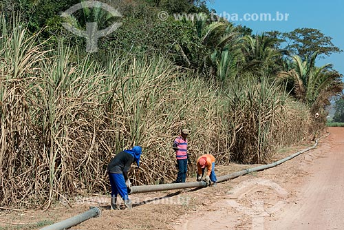  Rural workers putting ducts to irrigation to sugarcane plantation  - Teresina city - Piaui state (PI) - Brazil