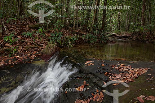  View of the Igarape near to Presidente Figueiredo city  - Presidente Figueiredo city - Amazonas state (AM) - Brazil