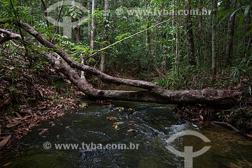  View of the Igarape near to Presidente Figueiredo city  - Presidente Figueiredo city - Amazonas state (AM) - Brazil