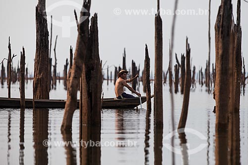  Riverine between the tree trunks that has submerged by the lake of Balbina Hydroelectric Plant  - Presidente Figueiredo city - Amazonas state (AM) - Brazil