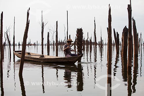  Riverine between the tree trunks that has submerged by the lake of Balbina Hydroelectric Plant  - Presidente Figueiredo city - Amazonas state (AM) - Brazil