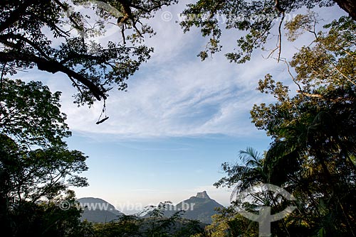  View of the Rock of Gavea from Mirante of Almirante  - Rio de Janeiro city - Rio de Janeiro state (RJ) - Brazil