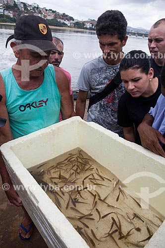  Fishes rescued during the operation Noahs Ark - operation to collect fish in the Doce Rver  and transport them to tanks before of incoming of mud contaminated by heavy metals such as arsenic, cadmium, lead, chromium and nickel  - Colatina city - Espirito Santo state (ES) - Brazil