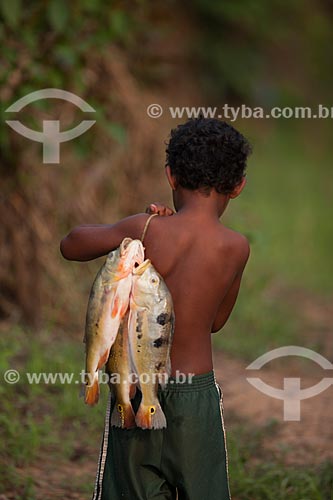  Riverine boy carrying tucunare (Cichla ocellaris) - also known as Butterfly Peacock Bass  - Manaus city - Amazonas state (AM) - Brazil