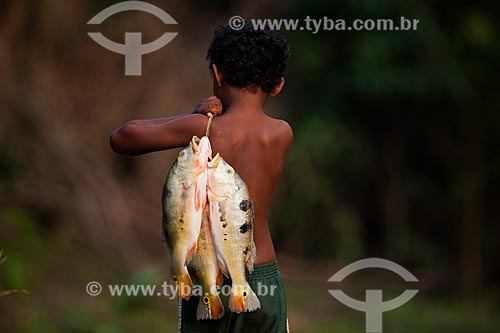  Riverine boy carrying tucunare (Cichla ocellaris) - also known as Butterfly Peacock Bass  - Manaus city - Amazonas state (AM) - Brazil