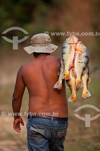 Riverine man carrying tucunare (Cichla ocellaris) - also known as Butterfly Peacock Bass  - Manaus city - Amazonas state (AM) - Brazil