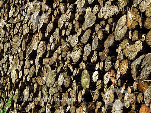  Detail of pile of firewood  - Gramado city - Rio Grande do Sul state (RS) - Brazil