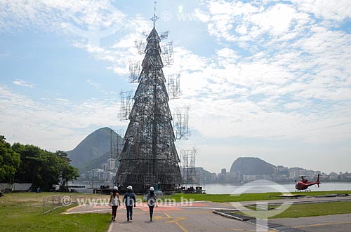  Building of the Lagoa Rodrigo de Freitas christmas tree  - Rio de Janeiro city - Rio de Janeiro state (RJ) - Brazil