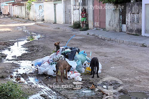  Street with open sewage and garbage - suburb of Recife  - Recife city - Pernambuco state (PE) - Brazil