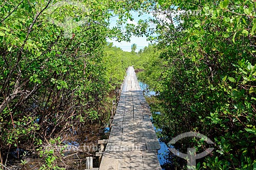  Bridge over Tatuamunha River - Manatee Project area - Alagoas Ecological Route  - Porto de Pedras city - Alagoas state (AL) - Brazil