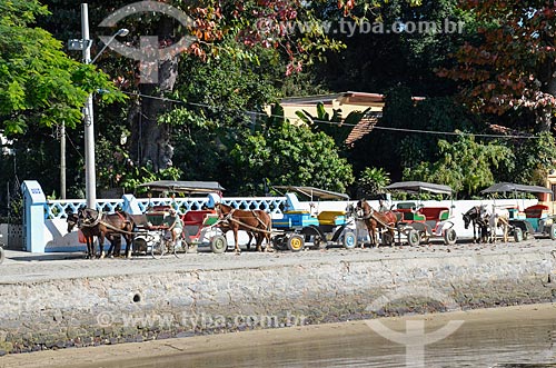  View of the Paqueta Island from Guanabara Bay with carts used to sightseeing  - Rio de Janeiro city - Rio de Janeiro state (RJ) - Brazil