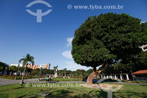  General view of the Saudade Square (Missing Square)  - Manaus city - Amazonas state (AM) - Brazil