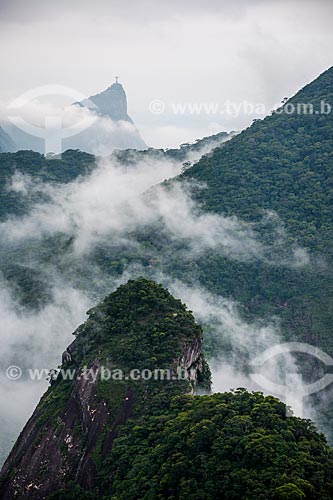  View of Christ the Redeemer from trail to Pedra Bonita (Bonita Stone) - Tijuca National Park  - Rio de Janeiro city - Rio de Janeiro state (RJ) - Brazil