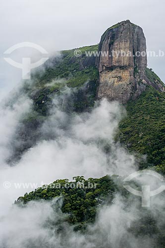  Detail of Rock of Gavea from Pedra Bonita (Bonita Stone) - Tijuca National Park  - Rio de Janeiro city - Rio de Janeiro state (RJ) - Brazil