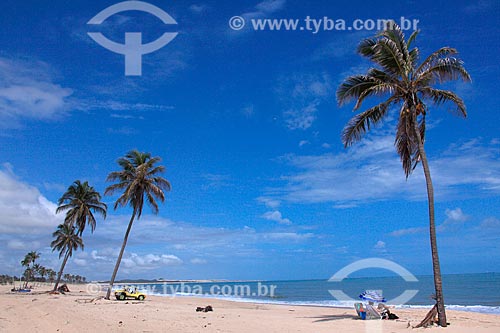  Cumbuco Beach waterfront  - Caucaia city - Ceara state (CE) - Brazil