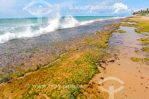  Coruripe Pontal Beach waterfront  - Coruripe city - Alagoas state (AL) - Brazil