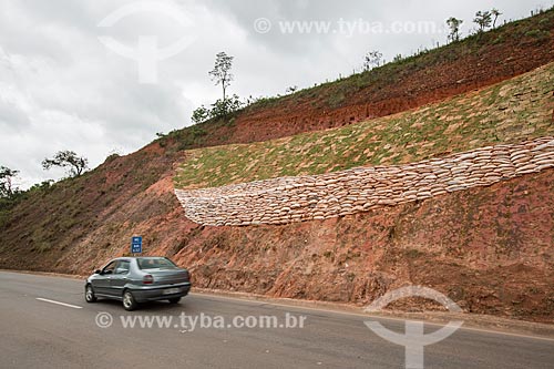  Slope containment work - grass planting - KM 632 of BR-040 highway  - Conselheiro Lafaiete city - Minas Gerais state (MG) - Brazil
