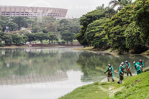  Pruning of grass on the banks of the Pampulha Lagoon with the Governor Magalhaes Pinto Stadium (1965) - also known as Mineirao - in the background  - Belo Horizonte city - Minas Gerais state (MG) - Brazil