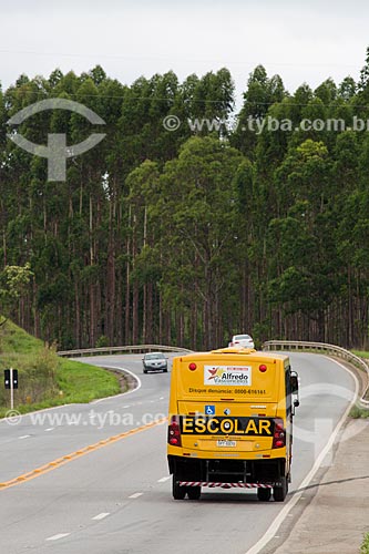  School bus - KM 691 of BR-040 highway  - Alfredo Vasconcelos city - Minas Gerais state (MG) - Brazil