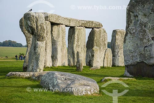  View of part of the Stonehenge  - Amesbury city - Wiltshire ceremonial counties - England