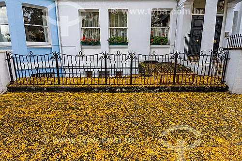  Floor covered with flowers - London  - London - Greater London - England