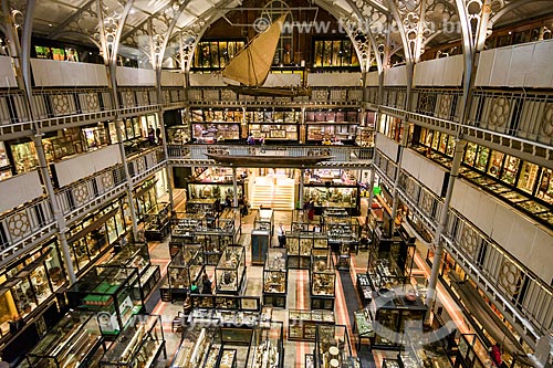  Inside of the Pitt Rivers Museum - University of Oxford  - Oxford city - Oxfordshire ceremonial counties - England