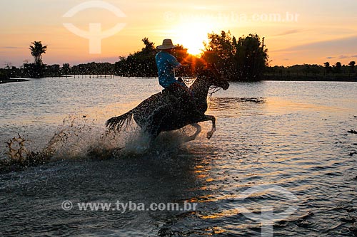  Cattle herding and horses - dam near to of the Sanjo Farm during the sunset  - Salvaterra city - Para state (PA) - Brazil