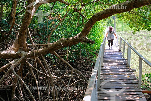  Access footbridge to Barra Velha Beach  - Soure city - Para state (PA) - Brazil