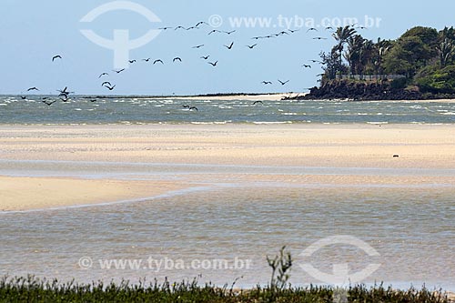  View of the Agua Boa Beach waterfront - Marajo Island  - Salvaterra city - Para state (PA) - Brazil