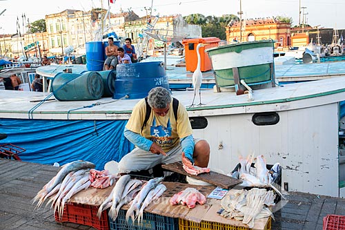  Fishmonger near to Ver-o-peso Market  - Belem city - Para state (PA) - Brazil
