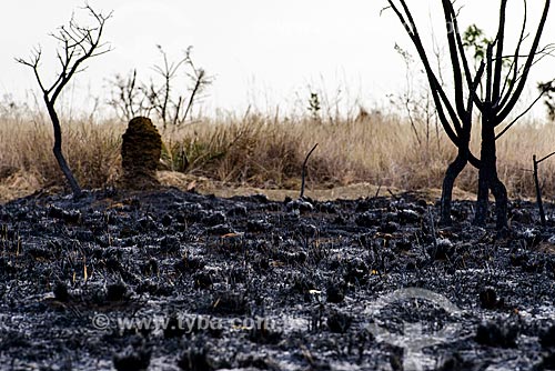  Emas National Park after burned  - Mineiros city - Goias state (GO) - Brazil